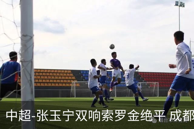 中超-张玉宁双响索罗金绝平 成都连扳两球2-2国安4连平