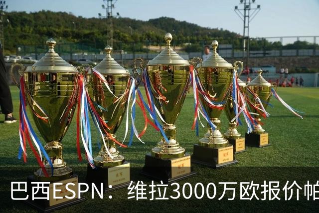 巴西ESPN：维拉3000万欧报价帕尔梅拉斯边锋阿兰遭拒